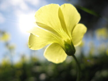 若い人との接し方 vol.1